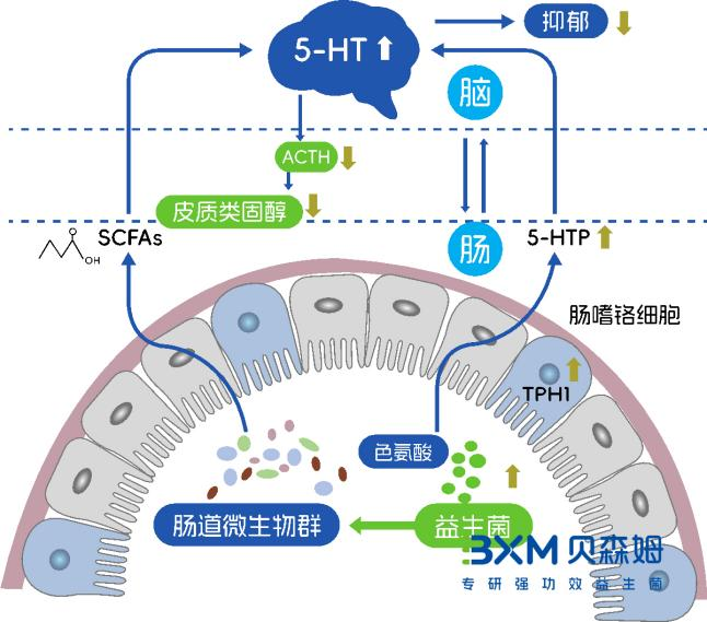 图片17.png